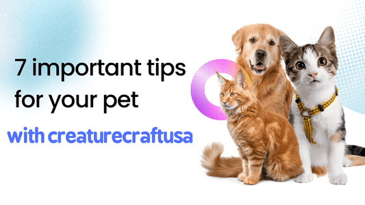 7 important tips for your pet